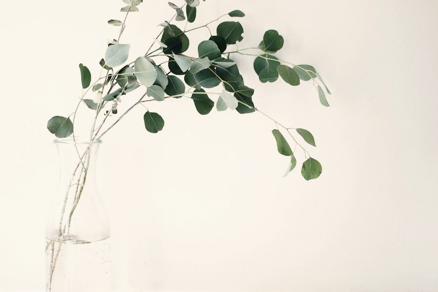 Can care happen on the same day as your consultation?